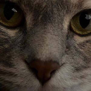 Meet your Posher, Mitchell